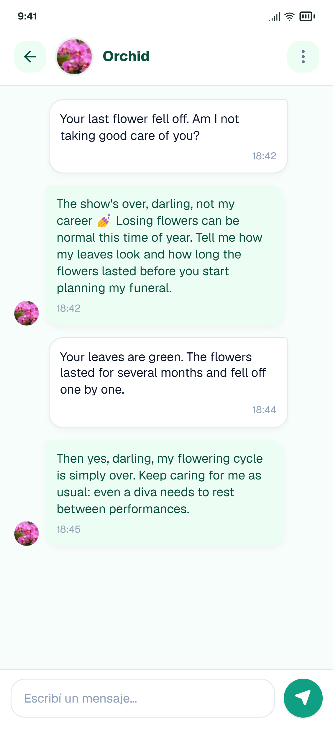 Diva Orchid chat in Plaplant
